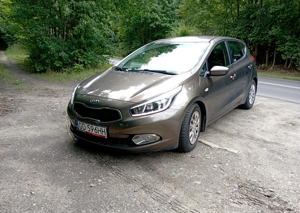 Kia Ceed cena 42000 przebieg: 120000, rok produkcji 2013 z Bydgoszcz małe 562